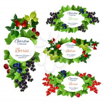 Berry and fruit icons with vector strawberry, raspberry and cherry, blueberry, black and red currant, gooseberry, briar or dogrose. Fresh farm garden and wild forest fruit branches with green leaves