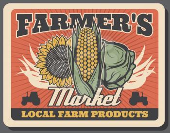 Vegetables of farmers market retro poster with vector cabbage, corn, sunflower and tractors. Fresh food products and veggies of local farms, agriculture and organic farming design