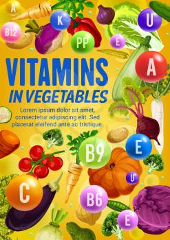 Vitamins and minerals in fresh vegetables and beans vector poster. Tomato, carrot and broccoli, onion, cabbage and radish, zucchini, pepper, pea and pumpkin, vegetarian food health benefits design