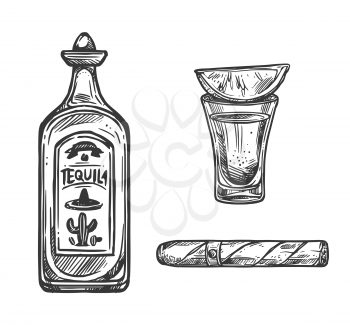 Cinco de Mayo holiday sketches of Mexican fiesta party tequila, lime and cigar. Vector bottle and shot glass of agave cactus alcohol drink and rolled tobacco leaves. Puebla Battle anniversary design
