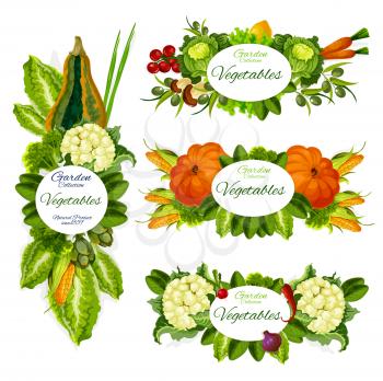 Vegetables, green herbs, salad leaves and mushroom vector design. Tomato, carrot and cabbage, chilli pepper, onion and lettuce, broccoli, pumpkin and basil, corn, spinach and olives, bolete and radish