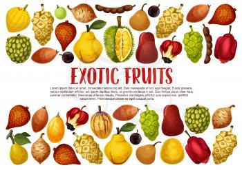 Tropical exotic fruits vector banner with borders of Asian durian, quince and pomelo, salak, tamarind and santol, marula, kumquat and ackee, jabuticaba, sapodilla and sweetsop berries. Food design