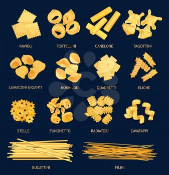 Italian cuisine pasta types. Vector ravioli and tortellini, canelone, fagottini, lumaconi giganti and kinkiloni. Quadretti, eliche, stelle and funchetto, radiatori and cavatappi, bucattini and filini