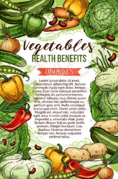 Vegetables and farm products, vector sketch. Healthy veggies food, cabbage and carrot, beans and onion, zucchini squash. Health benefits of vegetarian food, pea and green leek