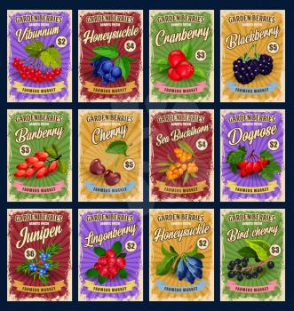 Garden natural berries, retro price cards. Vector viburnum and honeysuckle, cranberry and blackberry, barbery and cherry, sea buckthorn. Dogrose and juniper, lungoneberry, bird cherry harvest