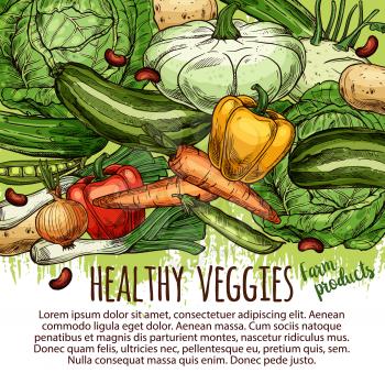 Healthy veggies, sketches of vegetable farm products. Vector cabbage and carrot, paprika pepper and onion, potato and beans. Zucchini and green pea, cucumber and squash marrow, kohlrabi and leek