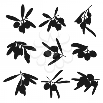 Organic olives branches silhouettes, premium quality food and olive oil products. Vector olives harvest, extra virgin oil or marinated pickles package symbols