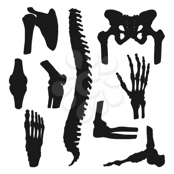 Human joins and bones icons, anatomy and orthopedic medicine symbols. Vector joints of hands and legs or foot, spine and pelvis or shoulder and neck bones, arthritis and pain medical treatment