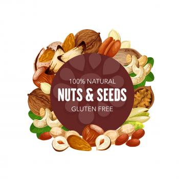 Nuts and natural seeds, organic raw and vegetarian food, healthy superfood nutrition. Vector GMO free hazelnut or walnut and almond, sunflower seeds and pistachio nuts, peanut and macadamia