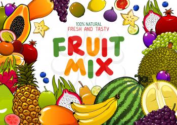 Tropical fruits mix, juicy multifruit banana, pineapple, mango and watermelon. Vector natural organic papaya, tropic durian and exotic dragon fruit, pomegranate and grape, blueberry and apple
