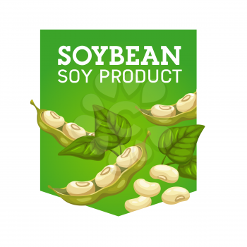 Soy bean product, organic and natural food isolated emblem. Vector harvest of soybean pods and leaves, vegetarian seeds and vitamins. Healthy ingredient of soy meat, milk, sauce, nutrition source