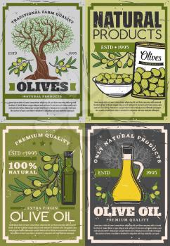 Natural products of olives, retro extra virgin oil and fruits on branches. Vector organic dressing in bottles and jugs, can and bowl of picked green olive, vegetable seasoning mediterranean cuisine