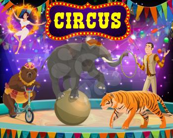 Circus show with trained animals, tamer. Vector arena in big top circus tiger and elephant on ball, bear riding unicycle and gymnast in burning circle. Performance show, arena in spotlights, flags