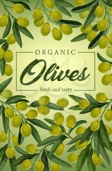 Green olive tree branches with fruits and leaves. Vector frame of fresh vegetarian food of Greece and Mediterranean cuisine. Oil packaging label, extra virgin olives dressing, natural healthy product