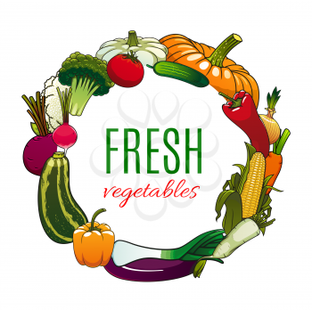 Frame of fresh vegetables isolated veggies. Vector vegetarian food, tomato and pumpkin, carrot and pepper, broccoli and eggplant. Onion and cauliflower, beetroot and garlic, zucchini and cucumber