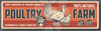 Poultry farm vector banner, breeding chickens, hens and turkey, quails for meat and eggs. Animal and bird farming or husbandry, organic food and agriculture themes