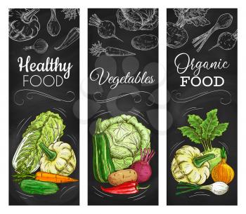 Vegetable vector banners of farm food chalk sketches on blackboard. Cabbage, potato and pepper, carrot, onion and zucchini, beet, cucumber and kohlrabi, napa cabbage and squash, chalkboard menu design