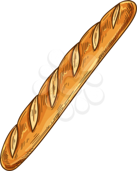 Baguette bread sketch icon. Vector bakery shop wheat bread long loaf bagel
