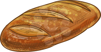 Long loaf bread isolated sketch. Vector long loaf, baked pastry baguette