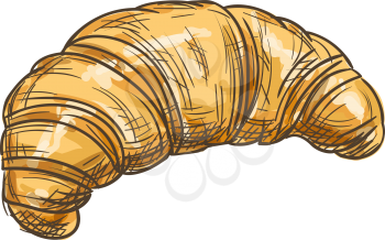 Croissant isolated French crescent-shaped roll. Vector sketch of sweet flaky pastry, european breakfast
