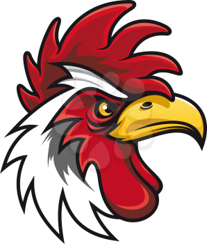 White cock head isolated mascot bird. Vector rooster, chicken mascot, fighting gamecock