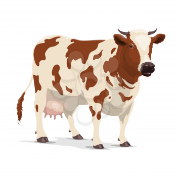 Cow animal vector design of milk or cattle farm. Heifer, bovine mammal with brown spots, star on head and white udders, horns and hooves, livestock farming, butchery or dairy product symbol