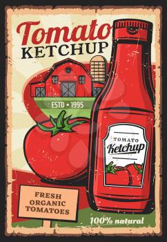 Tomato ketchup, vector vintage retro poster. Farm grown organic food products, 100 percent natural tomato ketchup bottle with premium quality label