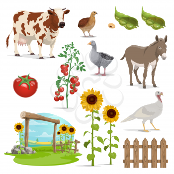 Farm and agriculture vector field, animals, vegetable food and crop plants. Farmer field, milk cow and village nature, bean grains, tomatoes, sunflowers and fence, goose, turkey, quail and donkey