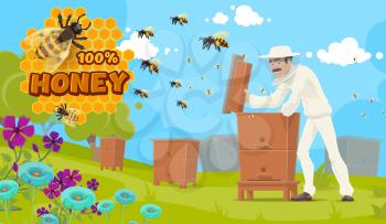 Natural honey production, beekeeping and beekeeper at apiary. Vector apiculture food poster, beekeeper man in uniform and mask extracting honey from beehive, bees on honeycomb and flowers