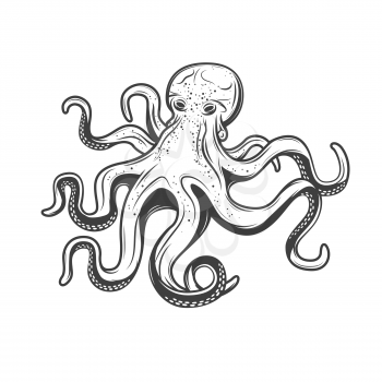 Octopus seafood, isolated sketch engraving icon. Vector marine underwater octopus with tentacles, underwater monster animals sea fishing, fishery sea food gourmet symbol
