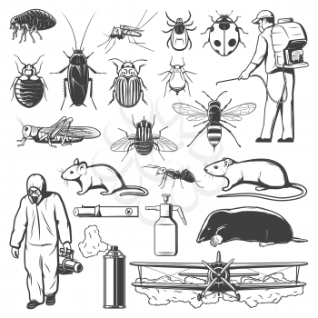 Pest control sketches with insects, insecticide, rodent and exterminators. Mosquito, cockroach, ant and fly, pesticide spray, rat and mite or tick, spider, termite and mouse, flea, mole, grasshopper