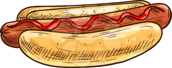 Hotdog sketch isolated bun and sausage with ketchup. Vector fastfood hot dog with frankfurter
