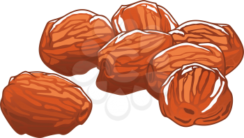 Dates dried fruits isolated sketch. Vector sugared natural food, vegetarian snack dessert