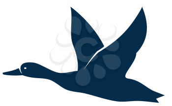 Flying wild duck isolated silhouette. Vector bird in flight, geese feathered animal
