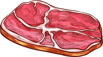 Ham slice sketch icon, meat piece isolated vector. Farm animal origin product