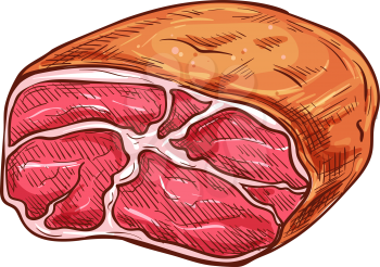 Ham piece sketch icon, beef or pork isolated vector. Shank half, farm food