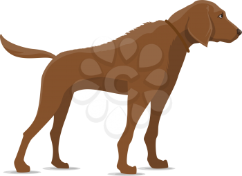 Hunting dog vector isolated icon. Hunter gun or bird dog, waterfowl hunt animal