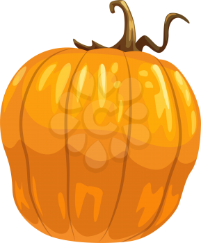 Pumpkin or squash isolated vegetable. Vector orange autumn gourd, Thanksgiving or Halloween mascot