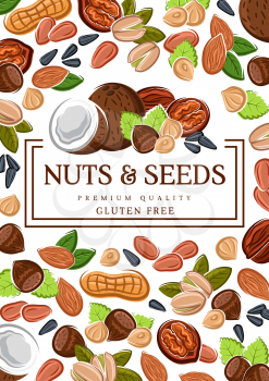 Nuts and seeds, organic GMO and gluten free raw vegan food. Vector peanut, hazelnut and almond, coconut, wheat and rye, sunflower seeds and pistachio nuts, healthy superfood nutrition