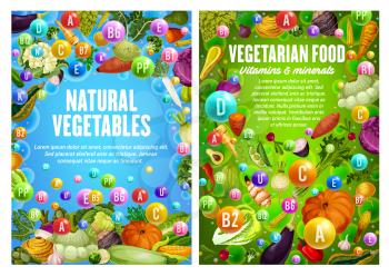 Vegetables, organic farm food veggies and GMO free vegetarian food vitamins. Vector carrot, tomato and corn, vegan pumpkin, cucumber, broccoli and zucchini squash, vegan asparagus and cauliflower