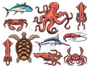 Fishes and marine animals icons, underwater world and fishing. Vector seafood squid, shrimp and prawn, octopus and lobster crab, sea turtle, ocean marlin or swordfish, tuna and cuttlefish