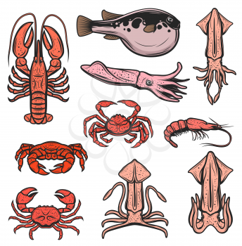 Fishes, seafood and marine animals, oceanarium underwater world and fishing. Vector seafood squid, shrimp and prawn, octopus and lobster crab, fugu puffer fish, ocean cuttlefish