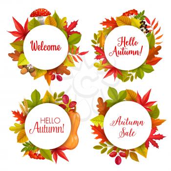 Hello autumn sale vector round frames with fallen leaves of maple, rowan and chestnut, oak and birch trees. Autumnal discount promo offer banners for fall season price off with typography and foliage