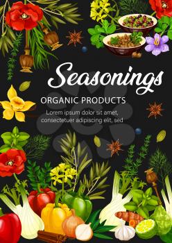 Food seasonings, spices, herbs and condiments. Vector rosemary, dill, pepper and cinnamon, garlic, anise and basil, oregano, thyme, cardamom and vanilla, onion and fennel, saffron and mustard
