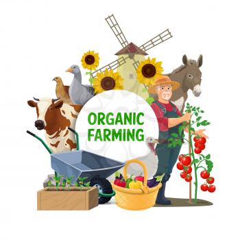 Farmer with farm animals and vegetables vector icon of agriculture and organic farming design. Cow, goose and garden harvest basket with tomatoes and peppers, wheelbarrow, turkey, quail and donkey