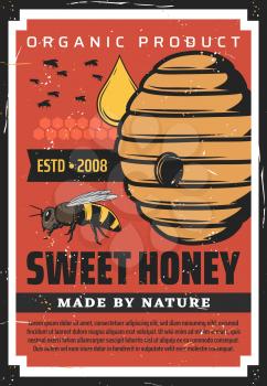Apiary, beekeeping retro poster with wild bees flying at hive. Natural farm production made by nature, honey drop fall at beehive, vector organic apiculture, apiary product vintage grunge advertising