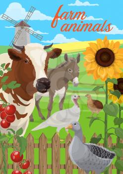 Farm animals and vegetables vector design. Agriculture and farming poster of farmer field and yard with cow, goose and quail, turkey and donkey, tomatoes, sunflowers, windmill and wooden fence