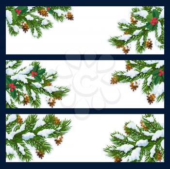 Christmas and New Year vector white blank banners for winter holiday greetings. Christmas tree branches covered with snow, pine and fir cones with holly leaves and berries