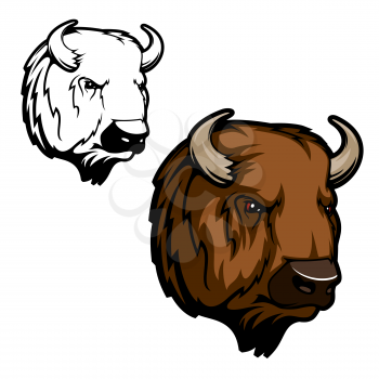 American bison or buffalo animal vector design of hunting club, sport team or zoo mascot. Head of wild ox bull with brown fur and horns, hoofed and horned mammal themes