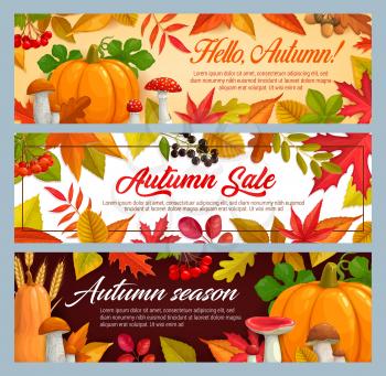 Hello Autumn and fall seasonal sale vector banners with fallen leaves and mushrooms. Maple, oak, chestnut and rowan foliage, forest cep, russula and acorns, welcome autumn promotional cards design set